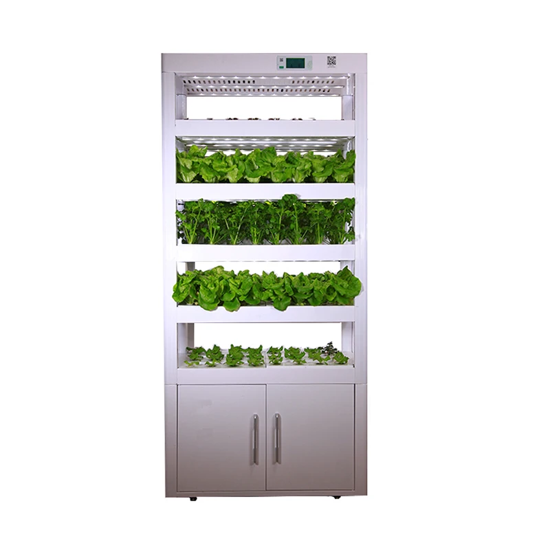 Venta al por mayor hidroponia de lechuga-Compre online los mejores