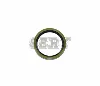 Output Shaft Seal Ring 1393331 1502384 For European Heavt Duty Trucks