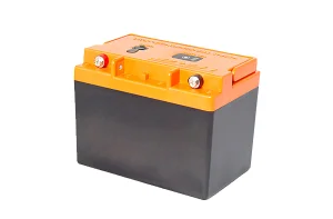 
EVEWHER lithium battery pack 36v 30ah For electric scooter 1000w 