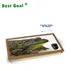 Animal Cushioned Bean Bag Laptop Lap Tray Desk
