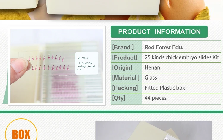 96 Hour Chick Embryo Serial Section 96 Hour Chick Embryo Serial Section