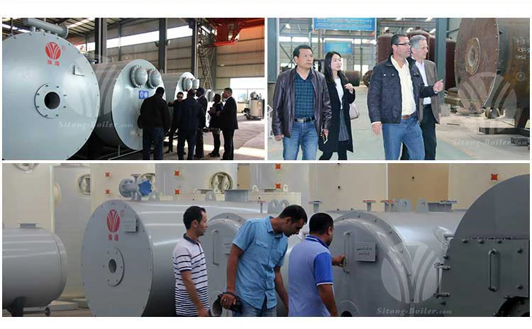 customer visiting of Natural Gas Fired Thermal Oil Boiler Heater with Italy Burner