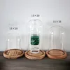 2018 hot selling hand blown customized clear glass dome with wooden base