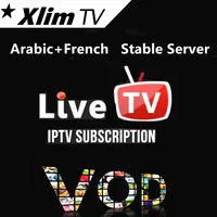 

2017 Arabic IPTV 1 Year Subscription UK DE Italy Portugal Turkey IPTV HD 1080P Channels Android Tv Box Smart TV BOX