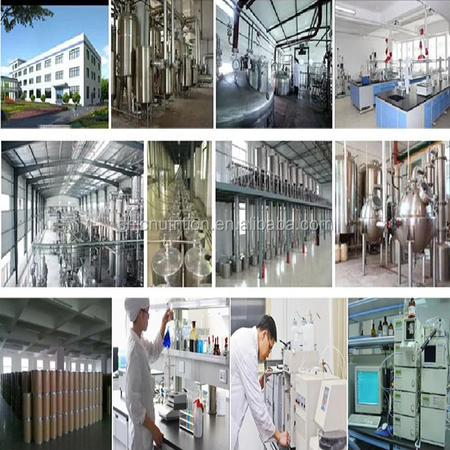 
Health food ingredient High quality aminobutyric acid, GABA powder 