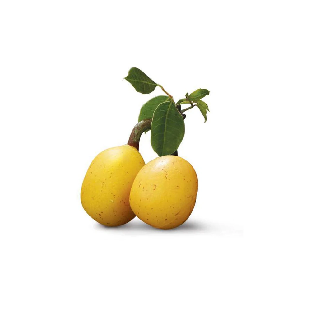 100% 纯有机冷压未精制马鲁油为保湿面部皮肤头发和指甲 - buy marula