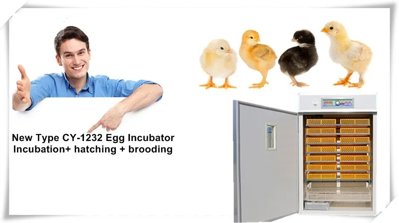 1232 Chicken Egg Incubator /chicken Eggs Incubator And ...