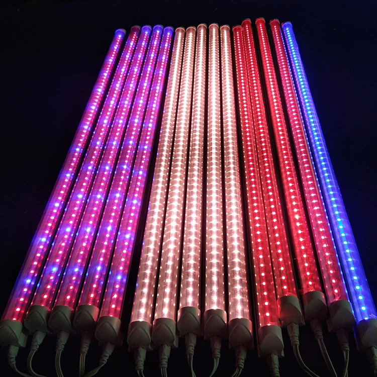 Fancy led. Светодиодные трубки в теплице для освещения. Fancy LEDS. Купить фитолампу 6000w дорогую.