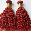 Brazilian natural curly wave hair types wholesale cheap price 26inch virgin human hair extensions
