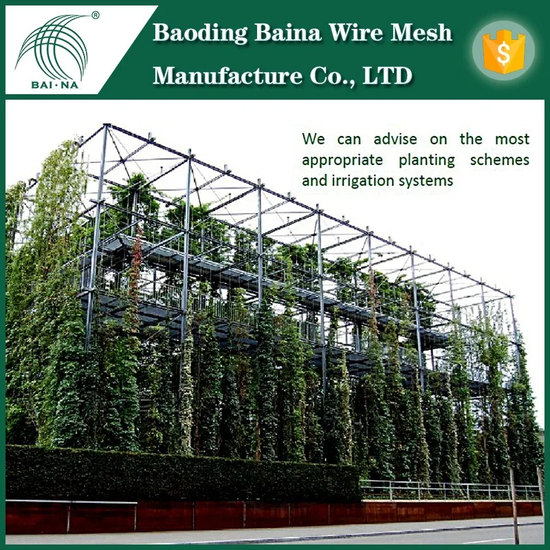 Stainless Steel Fence Wire Climbing Plants Support On Wall Stainless Steel Fence Wire Climbing Plants Support On Wall