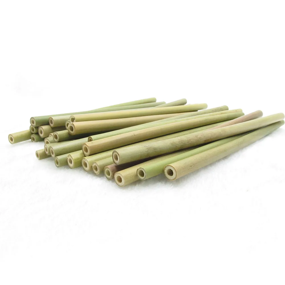 

Organic Reusable Bamboo Straws Biodegradable, Set of 15 with brush