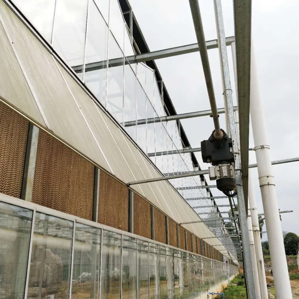 Greenhouse Ventilation Rack And Pinion Shading Screen Rack And Pinion