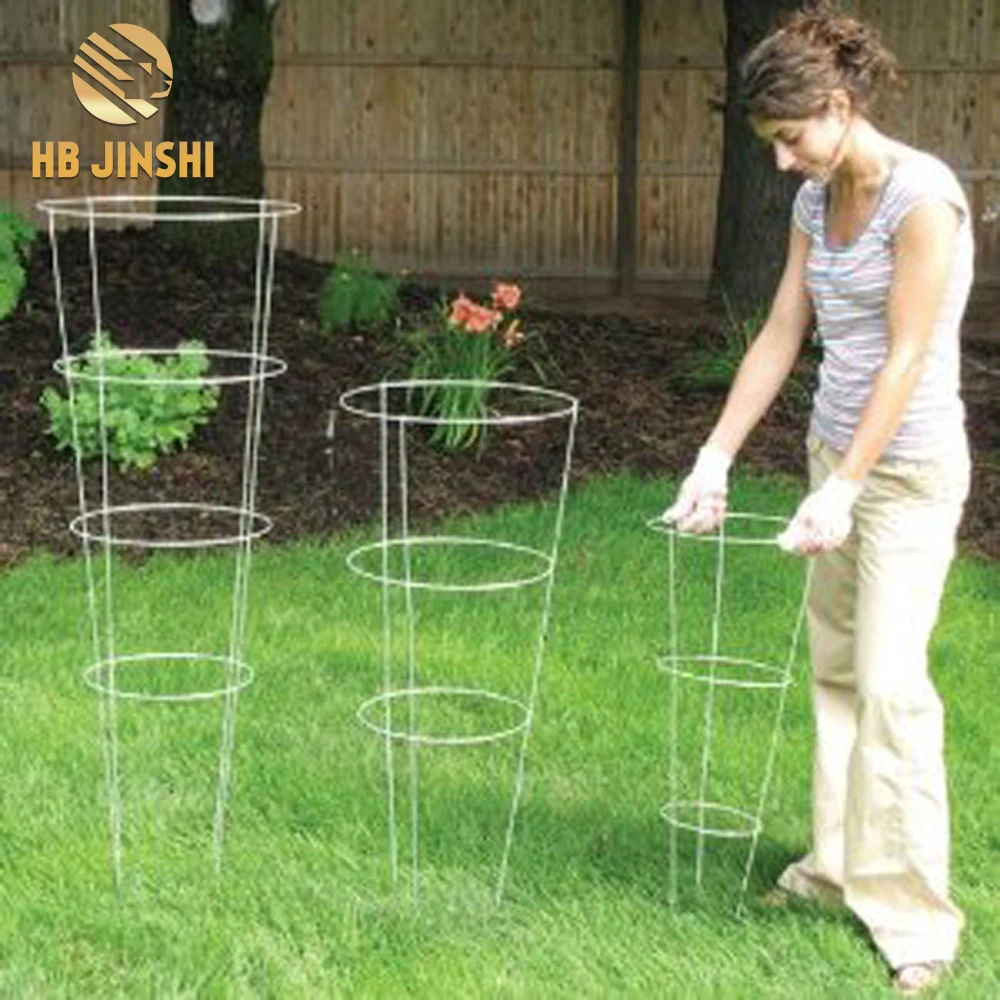 54"x16" Heavyduty Wire Welded Garden Tomato Cage Buy Tomato Cage