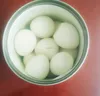 Boiled quail eggs for sale for quail eggs importer