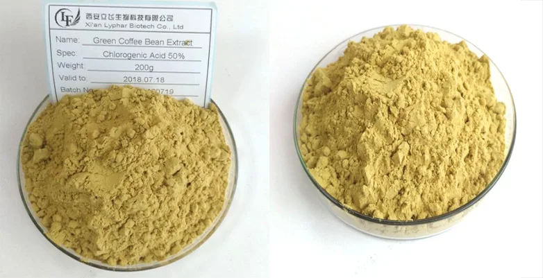 Pure Green Coffee Bean Extract 50% Chlorogenic Acid