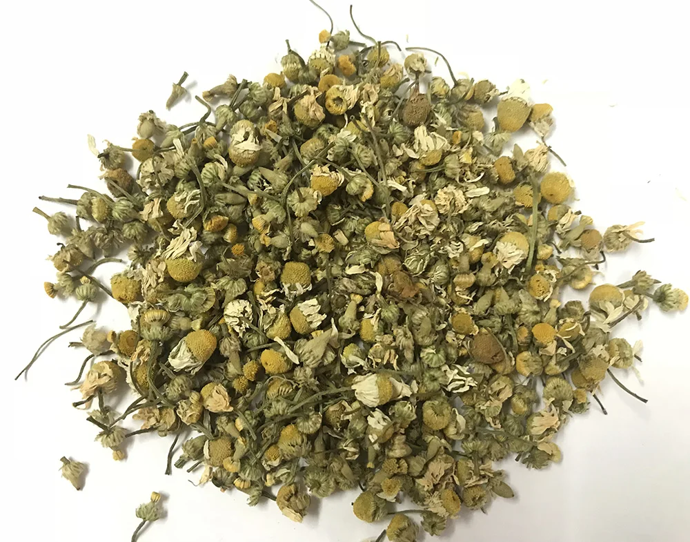 Chamomile 2.jpg