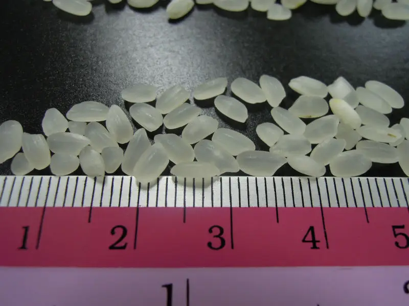 
100% Thai Broken White Rice Best Price Top Grade 