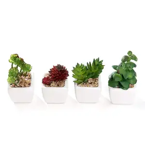 2019 New Production Succulent Decorative Mini Artificial Succulents for Home Office Tabletop Decoration