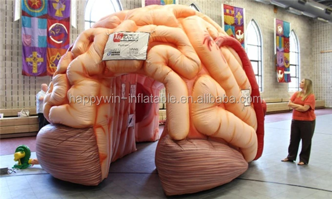 inflatable brain5.jpg