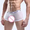 Mesh Net Sexy Boxer Shorts Transparent Underwear For Boys