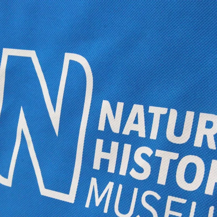 Sedex audit reusable and durable advertising cheap non woven fabric carry bag