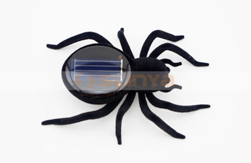 Solar spiders 8032 150108 (4).jpg