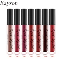 

Wholesale Price CY001-CY007 Matte Waterproof Kissproof Long Lasting 18 Hours Color Liquid Lipstick Cosmetics Makeup
