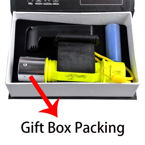 2017 Professional Waterproof ABS LED Diving Flashlight 4*AA 800 Lumen Q5 Diving Torch Flash Light lantern Underwater