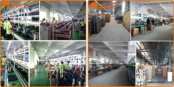 Black Garlic Cooker/Multifunctional Cooker/Rice Cooker