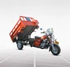 /product-detail/luxury-and-red-color-adult-trike-three-wheeler-price-3-wheel-motorcycle-cargo-bike-made-in-china-60241236352.html