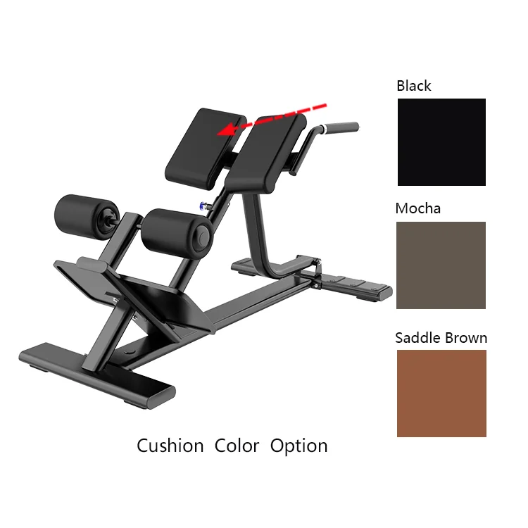 4Back Extension Bench.png