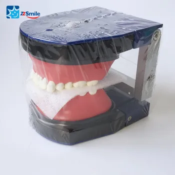 orthodontist toy set