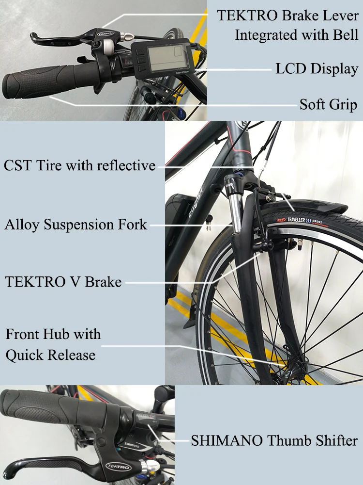 OEM CE EN15194 Electric Bike