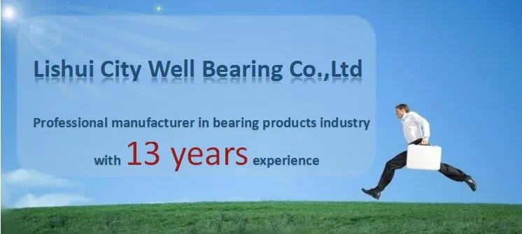 China high presision SP40 SP50 SP60 ball roller bearing shaft assembly for industry