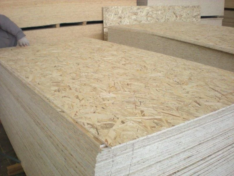 OSB  (25).jpg