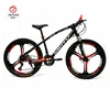 Aluminum Alloy Frame 21 Speed Adults Giant Bicycle Mountain Bike for Mens