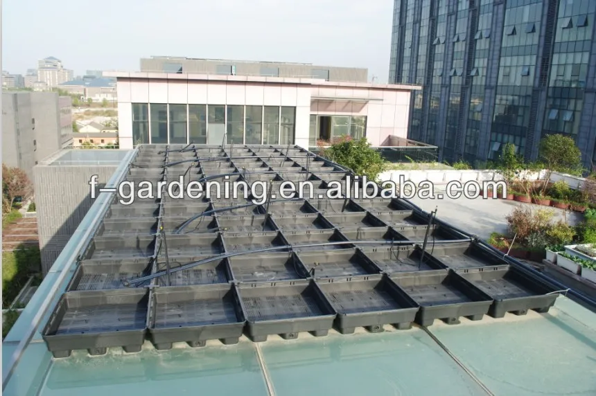 Green Roofs Modular Planter - Healthy Cities Green Roof