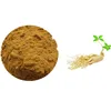 Botanical Supply Best Quality Anti-cancer supplement panax ginseng root extract powder