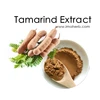 High Quality Nature Tamarind Seed Extract Tamarindus Indica Extract best price