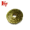 High Quality Iron Material Common Nails Screw Coil Nail 2980