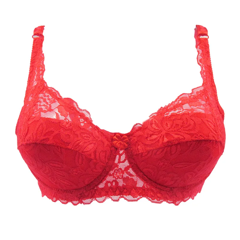 Transparent Flower Lace Soft Fabric Push Up Sexy Women Bra Brazier