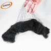 Anti Wind Plastic bird mist net for sale netting for bird 5 pockets