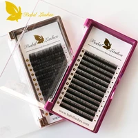 

Babillashes easy to make fans 0.07 eyelashes wholesale from korea natural mink eyelashes