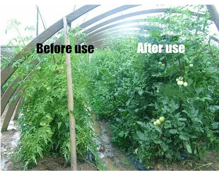 Shop IAA 98%TC Manufacturer Agrochemicals  98%TC iaa-Detailed Image 3