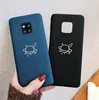 Hard PC Jupiter pattern mobile phone case for Huawei Mate 20pro Mate10 Mate10pro Mate20