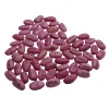 OEMPEOMO DIY Magic Bean Seed Plant Growing Message Words