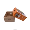 2019 Wholesale high quality chinese fruit products custom corrugated paper papaya fruit box
