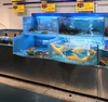Dingfeng customized supermarket or restaurant temperature control chiller or heater live rainbow trout fish tank aquarium