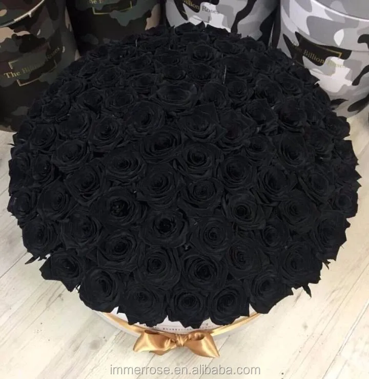 img-498251eb5161728fa4c5204af3ed8d68