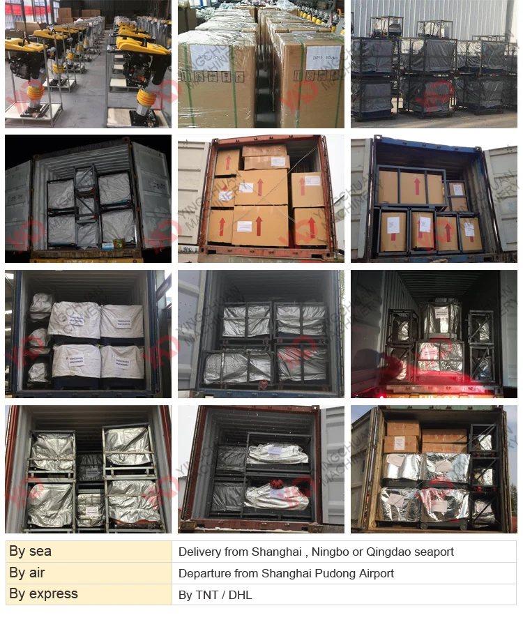 Best Selling Hot Chinese Products Robin Compactor Supplier Trench Frog